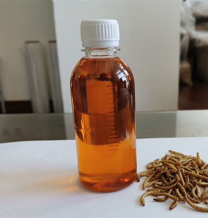 Dried Mealworm Oil for Special Pet Food Oil Worm Oil - China Dried