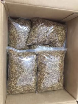SALES BULK DRIED MEAL WORMS