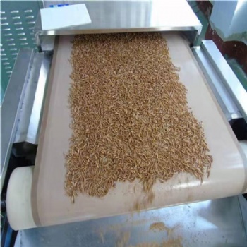 WHOLESALE DRIED MEALWORMS