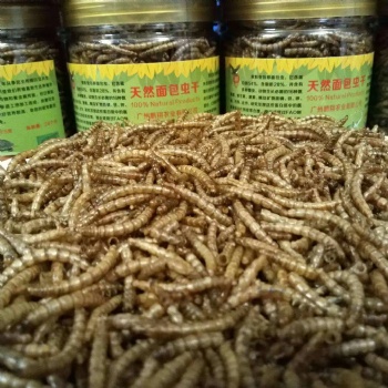 DRIED MEALWORMS FOR PET FOOD