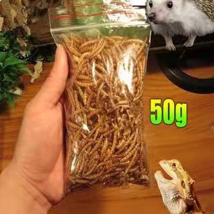 50G/100G/500/1KG/5KG PACKED DRIED MEALWORMS