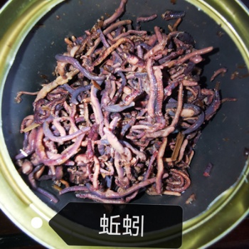 罐装蚯蚓