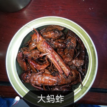 罐装蚂蚱